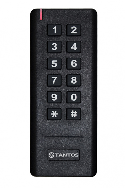 TS-KBD-EM2 Plastic кодонаборная панель со встроенным считывателем и контроллером Фото