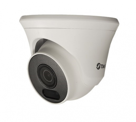 Tantos TSi-E4FP 4-х мегапиксельная уличная антивандальная IP камера Фото