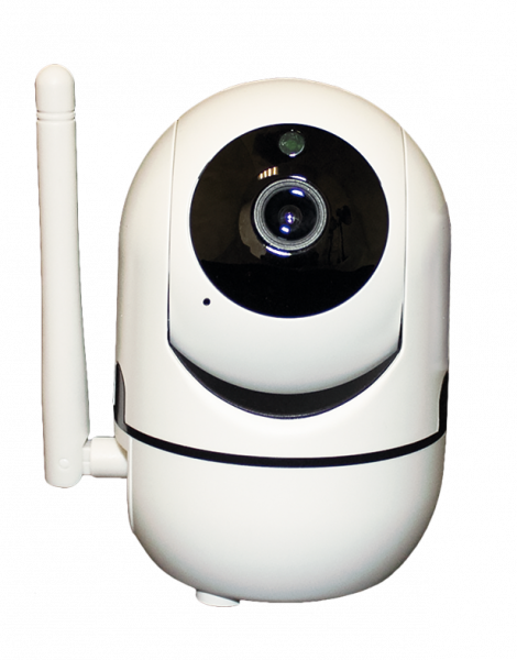 iРотор Плюс IP видеокамера Wi-Fi купольная наклонно-поворотная Фото