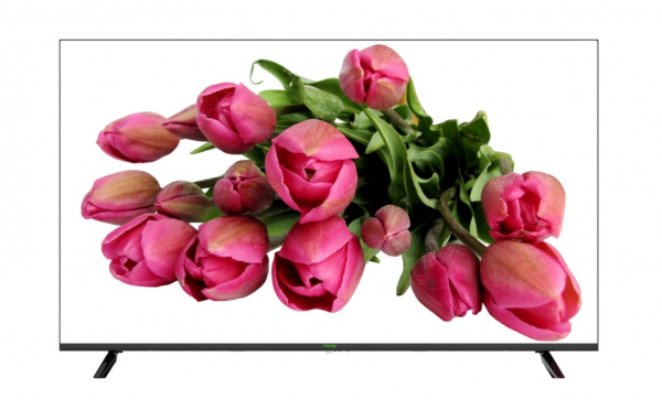TC-D355 Spec:MON/4K/P/V2.0 LED монитор 55 TC-D355 Spec:MON/4K/P/V2.0 LED монитор 55