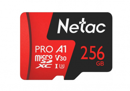 Карта памяти 256GB MicroSDXC Netac P500 Extreme PRO (NT02P500PRO-256G-S) Фото