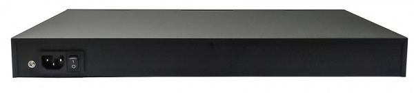 NS-SW-24F2G-P PoE коммутатор Фото