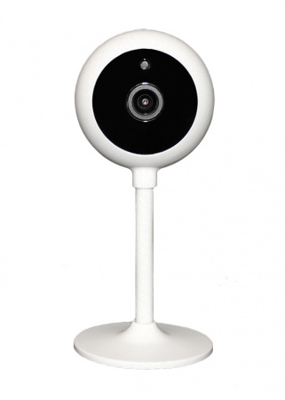 iШар Плюс Видеокамера Wi-Fiкомпактная с ИК подсветкой  Фото